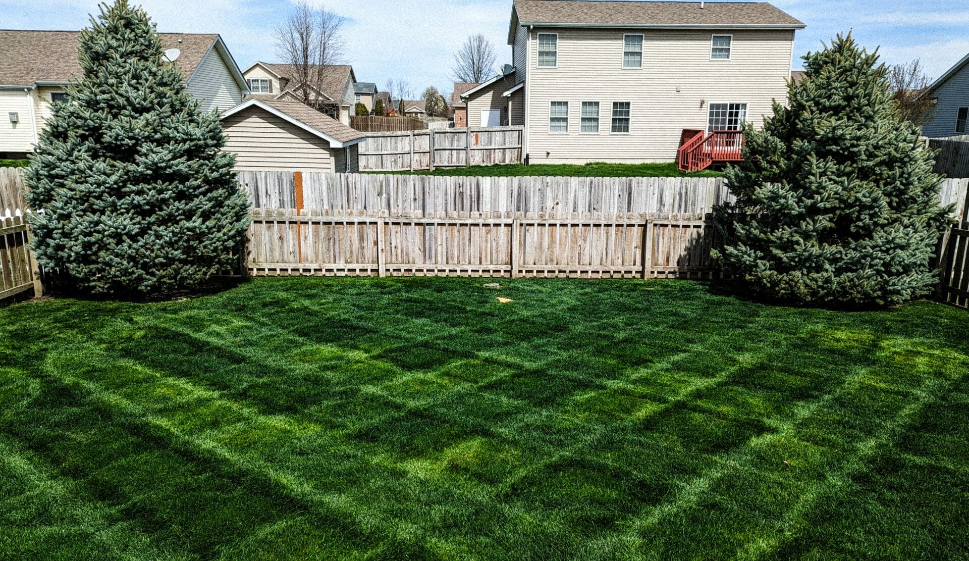 Thrive Lawn Care GRass