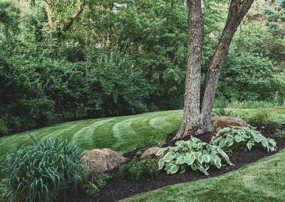 Landscaping Thrive Lawn Care Chatham IL Springfield IL